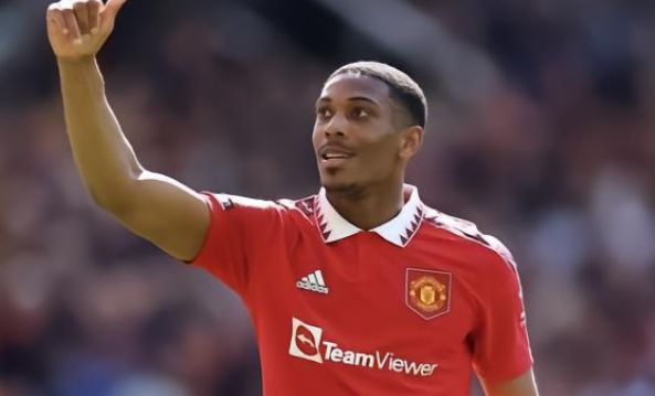 羽毛画成为 羽毛画成为